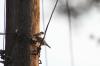 <img100*0:stuff/z/73640/uploadthismow/i1257222364_34.jpg>