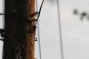 <img100*0:stuff/z/73640/uploadthismow/i1257222364_40.jpg>