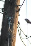 <img100*0:stuff/z/73640/uploadthismow/i1258082038_10.jpg>