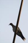 <img100*0:stuff/z/73640/uploadthismow/i1258085139_31.jpg>