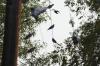 <img100*0:stuff/z/73640/uploadthismow/i1258481067_13.jpg>