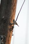 <img100*0:stuff/z/73640/uploadthismow/i1258481068_18.jpg>