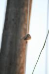 <img100*0:stuff/z/73640/uploadthismow/i1258481068_19.jpg>