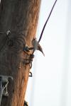 <img100*0:stuff/z/73640/uploadthismow/i1258481068_21.jpg>