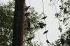 <img100*0:stuff/z/73640/uploadthismow/i1258483464_1.jpg>