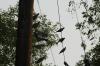 <img100*0:stuff/z/73640/uploadthismow/i1258483464_2.jpg>