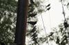 <img100*0:stuff/z/73640/uploadthismow/i1258483465_6.jpg>