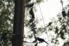 <img100*0:stuff/z/73640/uploadthismow/i1258483467_41.jpg>