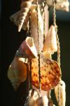 <img100*0:stuff/z/73640/upoload/i1257206662_10.jpg>