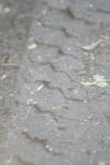 <img100*0:stuff/z/73640/upoload/i1257206662_11.jpg>