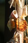 <img100*0:stuff/z/73640/upoload/i1257206662_14.jpg>