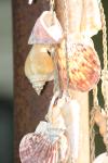 <img100*0:stuff/z/73640/upoload/i1257206662_2.jpg>
