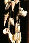 <img100*0:stuff/z/73640/upoload/i1257206662_3.jpg>