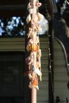 <img100*0:stuff/z/73640/upoload/i1257206662_6.jpg>