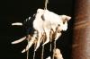 <img100*0:stuff/z/73640/upoload/i1257206662_7.jpg>