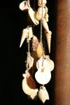 <img100*0:stuff/z/73640/upoload/i1257206663_22.jpg>