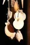 <img100*0:stuff/z/73640/upoload/i1257206663_26.jpg>