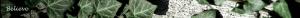 <img300*0:stuff/z/80010/Dividers%2520by%2520Mary/i1236108493_10.jpg>