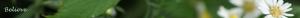 <img300*0:stuff/z/80010/Dividers%2520by%2520Mary/i1236108493_11.jpg>