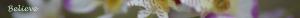 <img300*0:stuff/z/80010/Dividers%2520by%2520Mary/i1236108493_2.jpg>