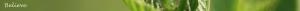 <img300*0:stuff/z/80010/Dividers%2520by%2520Mary/i1236108493_3.jpg>