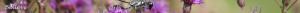 <img300*0:stuff/z/80010/Dividers%2520by%2520Mary/i1236108493_4.jpg>