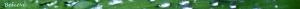 <img300*0:stuff/z/80010/Dividers%2520by%2520Mary/i1236108493_5.jpg>