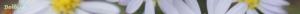 <img300*0:stuff/z/80010/Dividers%2520by%2520Mary/i1236108493_6.jpg>