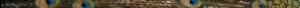 <img300*0:stuff/z/80010/Dividers%2520by%2520Mary/i1236108493_7.jpg>