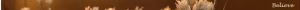 <img300*0:stuff/z/80010/Dividers%2520by%2520Mary/i1236108493_9.jpg>