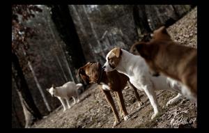 <img300*0:http://elftown.heddate.com/stuff/z/80010/Mary%2527s%2520Art/i1232421161_2.jpg>