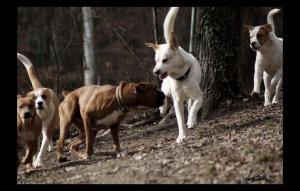 <img300*0:http://elftown.heddate.com/stuff/z/80010/Mary%2527s%2520Art/i1232421162_3.jpg>