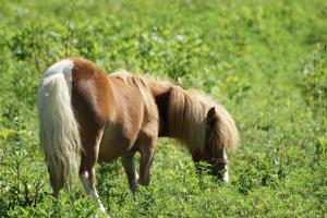 <img300*0:stuff/z/80010/Mary%2527s%2520Reference%2520Wiki/i1228237658_3.jpg>
