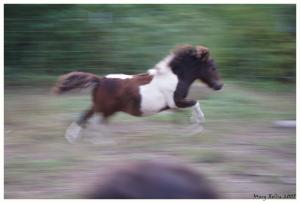 <img300*0:stuff/z/80010/Mary%2527s%2520Reference%2520Wiki/i1228237658_4.jpg>