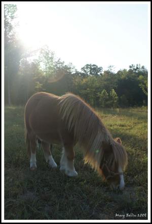 <img300*0:stuff/z/80010/Mary%2527s%2520Reference%2520Wiki/i1228237659_6.jpg>