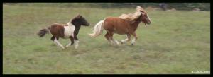 <img300*0:stuff/z/80010/Mary%2527s%2520Reference%2520Wiki/i1228237662_21.jpg>