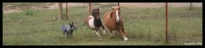 <img300*0:stuff/z/80010/Mary%2527s%2520Reference%2520Wiki/i1228237663_25.jpg>