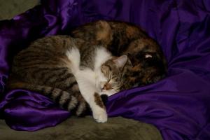 <img300*0:stuff/z/80010/Mary%2527s%2520Temporary%2520Reference/i1317073800_23.jpg>