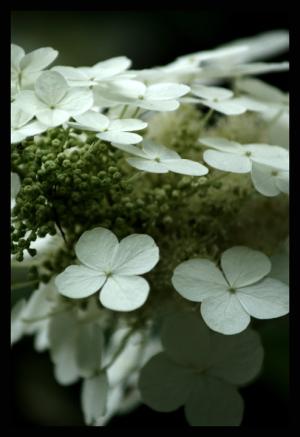 <img300*0:stuff/z/80010/Mary%2527s%2520Temporary%2520Reference/i1317073800_29.jpg>