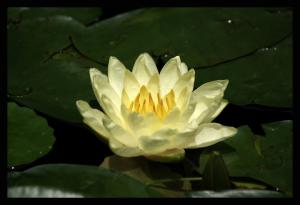 <img300*0:stuff/z/80010/Mary%2527s%2520Temporary%2520Reference/i1317073800_35.jpg>