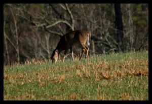 <img300*0:stuff/z/80010/Mary%2527s%2520Temporary%2520Reference/i1317073800_4.jpg>
