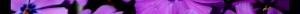<img300*0:http://elftown.heddate.com/stuff/z/80010/PortCon-Tynuka/i1238892456_2.jpg>