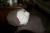 <img50*0:http://elftown.heddate.com/stuff/z/80010/mary%2527s%2520art%25202009/i1233962636_2.jpg>