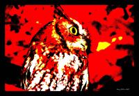 <img200*0:http://elftown.heddate.com/stuff/z/80010/mary%2527s%2520art/i1226882956_1.jpg>