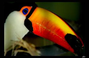 <img300*0:stuff/z/80010/mary%2527s%2520art/i1250080171_3.jpg>