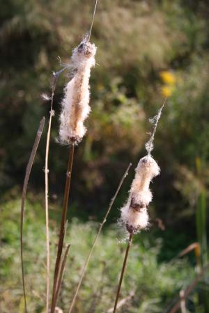 <img300*0:stuff/z/86156/A%2520Walk%2520in%2520October/i1288012956_7.jpg>