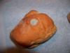 <img100*0:stuff/z/92105/5895/i1293334384_1.jpg>