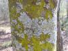 <img100*0:stuff/z/92105/5895/i1293336316_1.jpg>