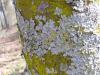 <img100*0:stuff/z/92105/5895/i1293336316_2.jpg>