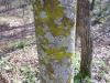 <img100*0:stuff/z/92105/5895/i1293336317_3.jpg>